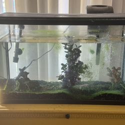 Fish Tank