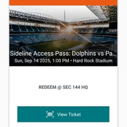 Dolphins Patriots Sideline Access Pass Sw Zone Home Tunnel