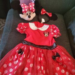 Minnie Mouse Costume W/bucket