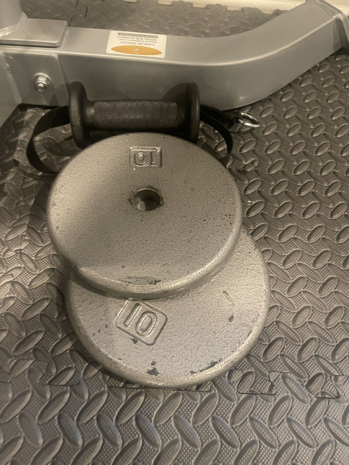 2- 10lb Plate Cast Iron Weights