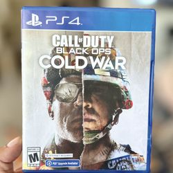 Call Of Duty Black Ops: COLD WAR PS4
