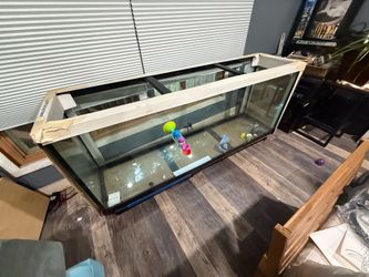 150 gallon aquarium