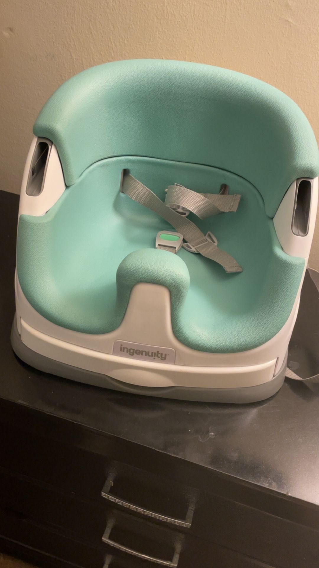Ingenuity Infant Chair A/ Tray