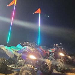 Led Whips 6ft 5ft 4ft 3ft RGB 5050 LED