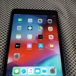 Apple iPad Mini 2, Gen 2, 16 GB, A1489: Nice!! Lot K
