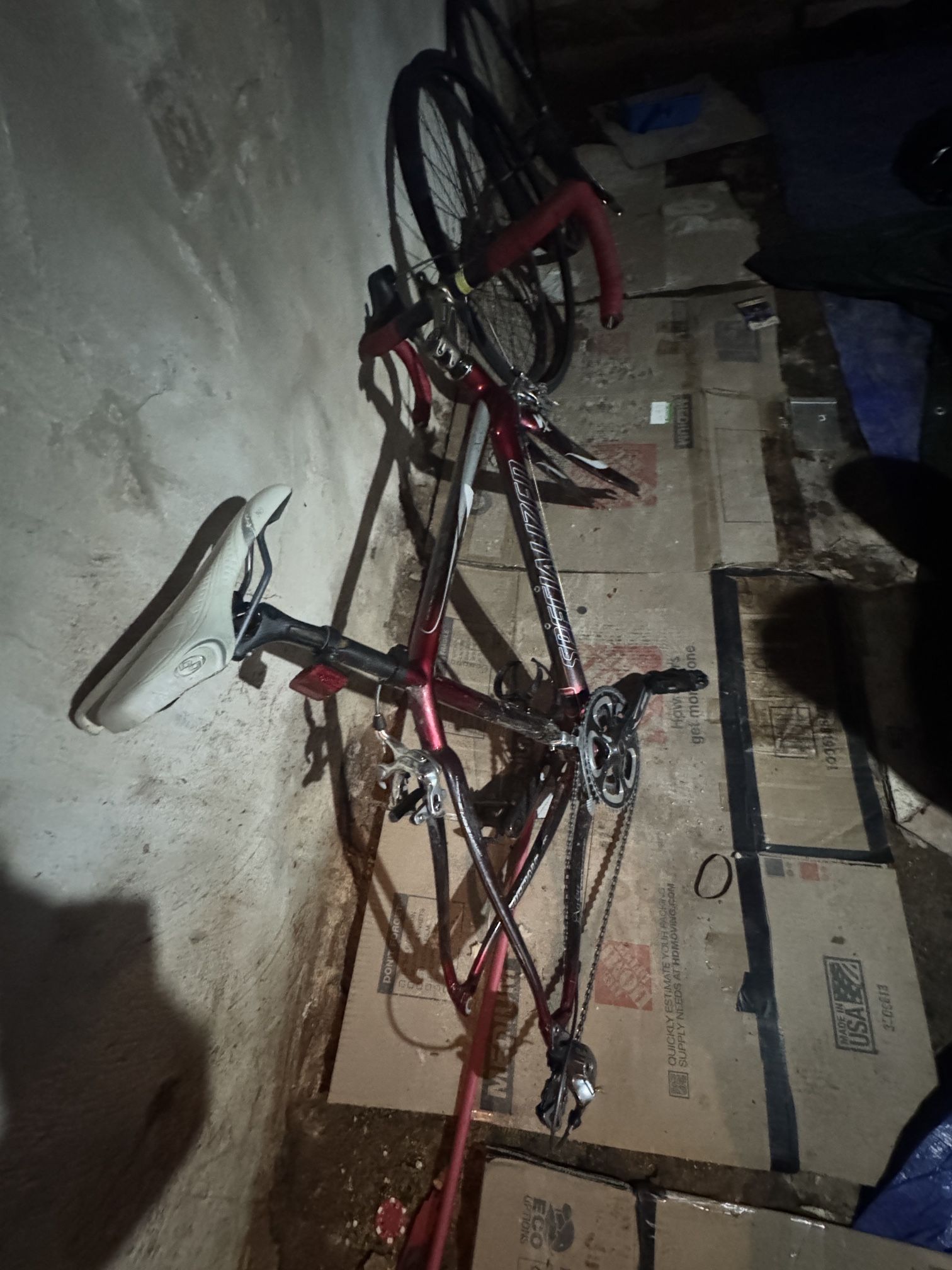 2008 Specialized Ruby Pro Carbon Frame