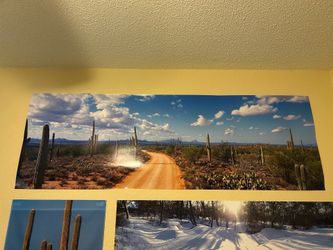 Cactus Poster