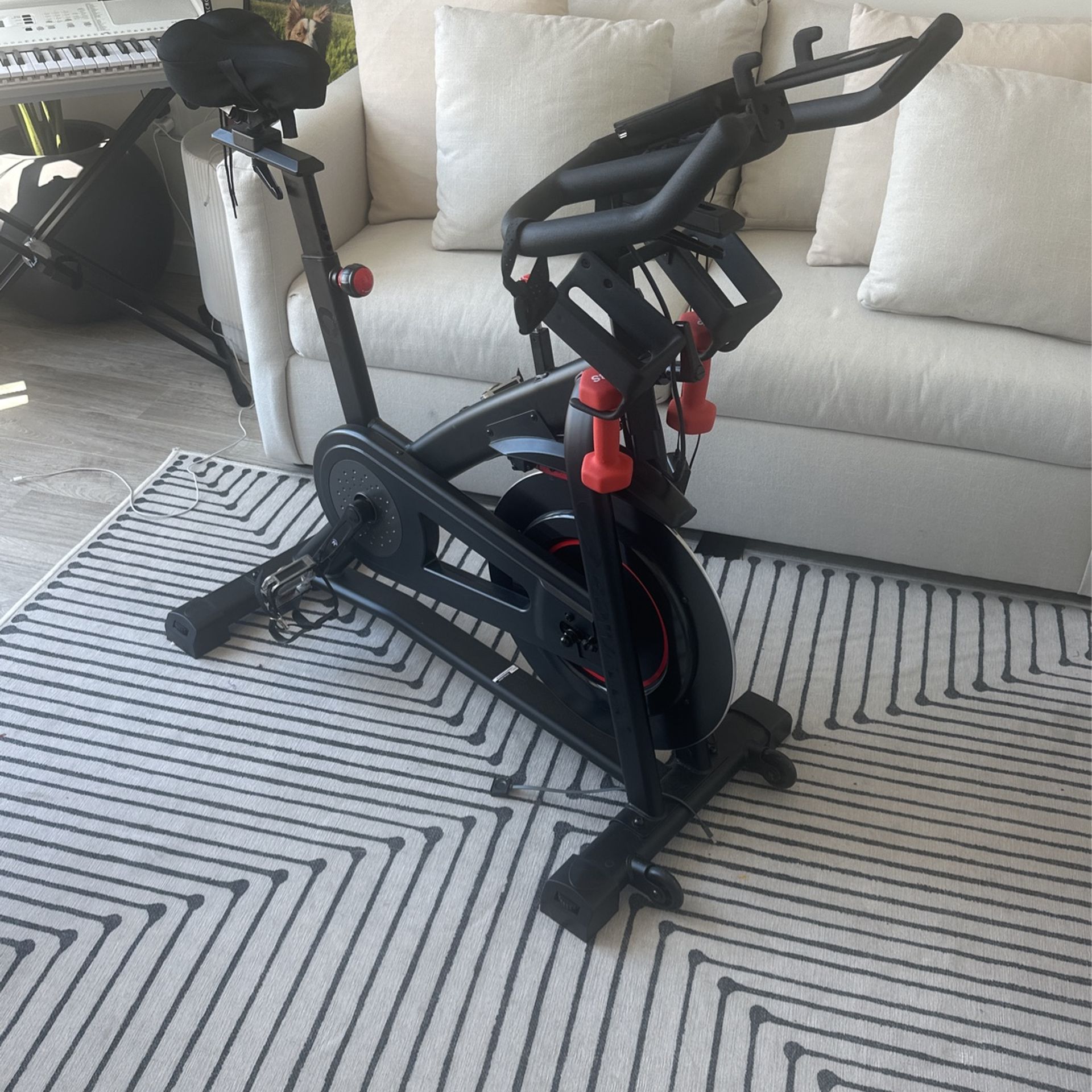 Bowflex C6