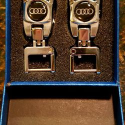 2 Audi Key Chains