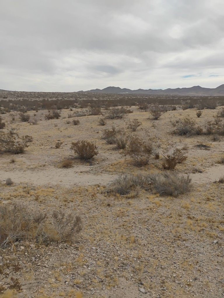 Land Two Empty Lots On Oro Grande California 10 Acres Each One
