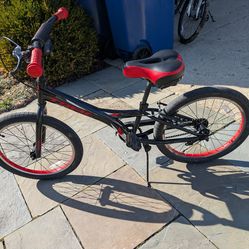 Trek Jet series twenty bicycle.