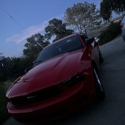 2011 Mustang 3.7