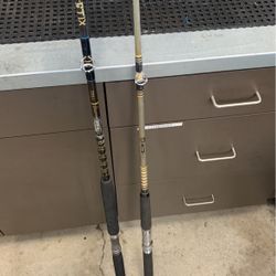 2 Conventional Fishing Rods 
