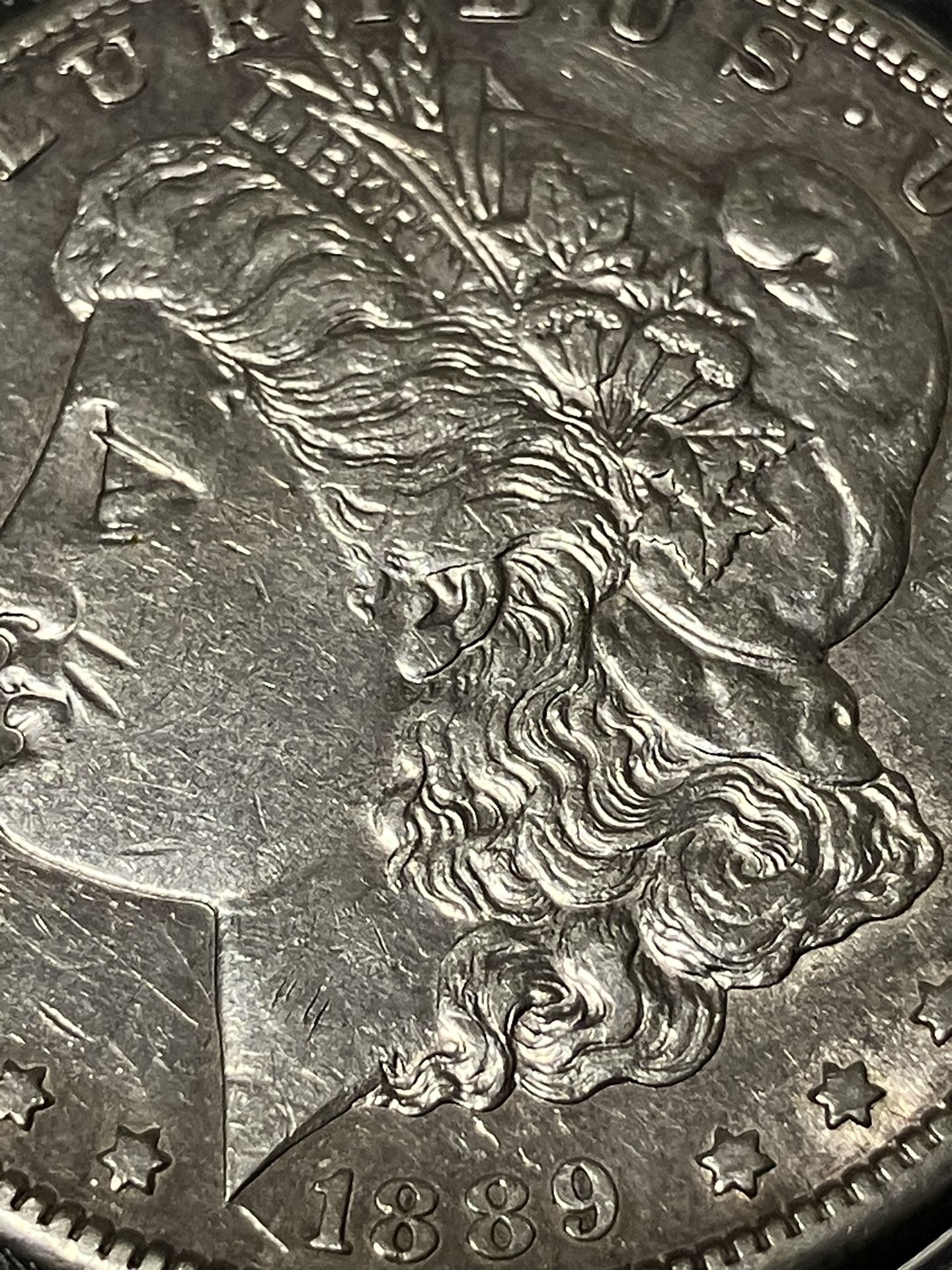 1889 Morgan Silver Ms66