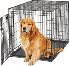 Large Dog Kennel