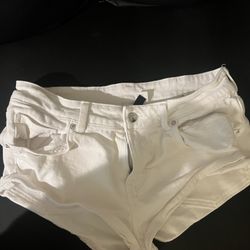 Divided Women Shorts
