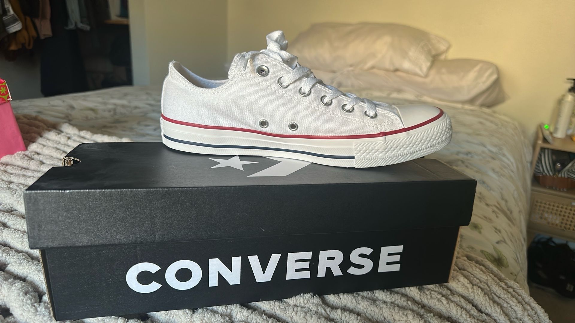 Women’s Converse Low Top  - Brand New - OBO