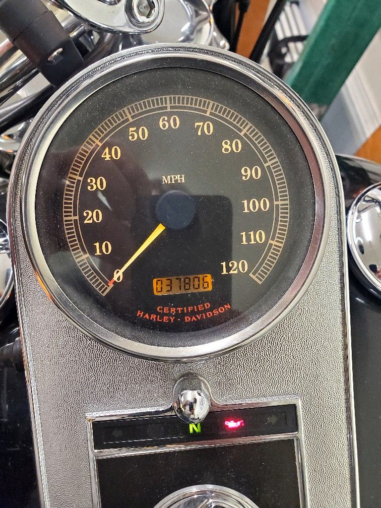 2001 Harley Davidson FLSTF
