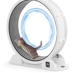 Cat Exercise Wheel Solar Powered 