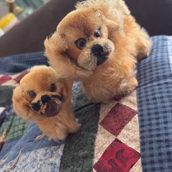 Antique Dogs Dolls