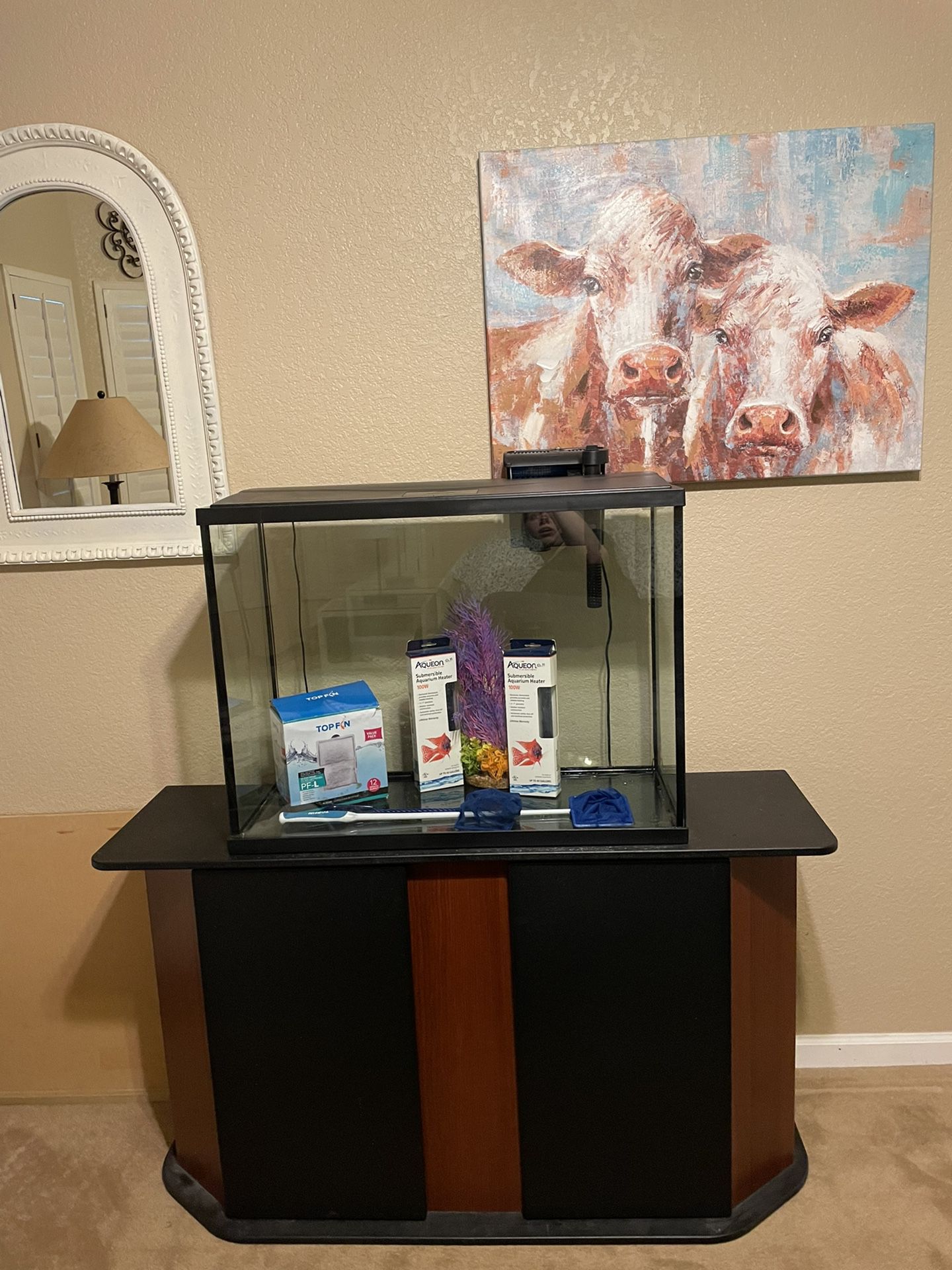 37 Gallon Tank And Stand