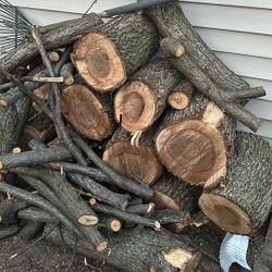 Firewood
