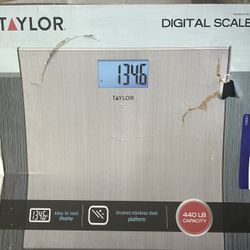 Taylor Digital Scale