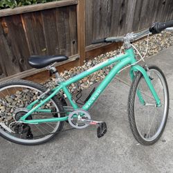 Raleigh 24” 7 speed girls bike - $50