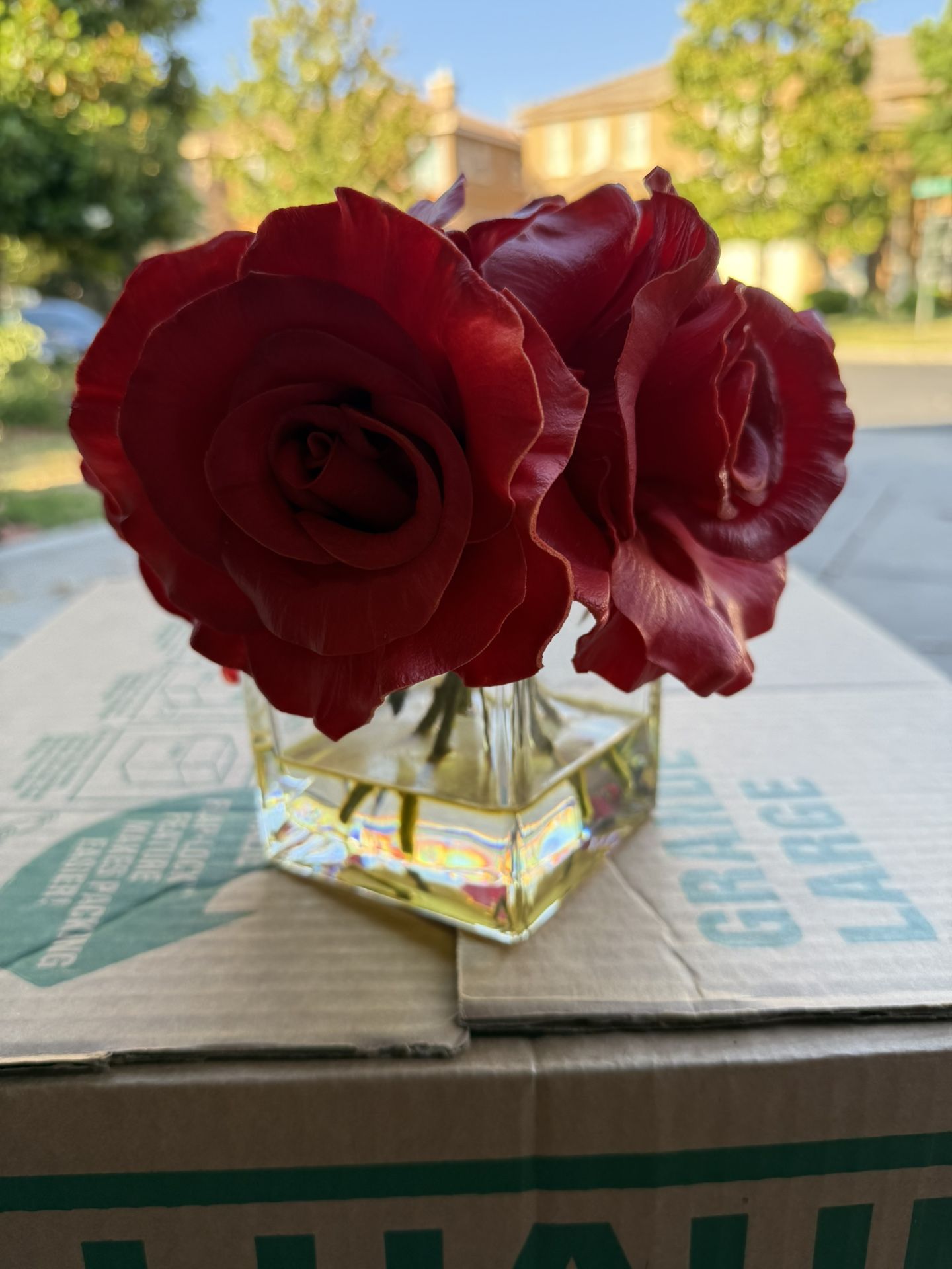 Beautiful large red roses in a glass base