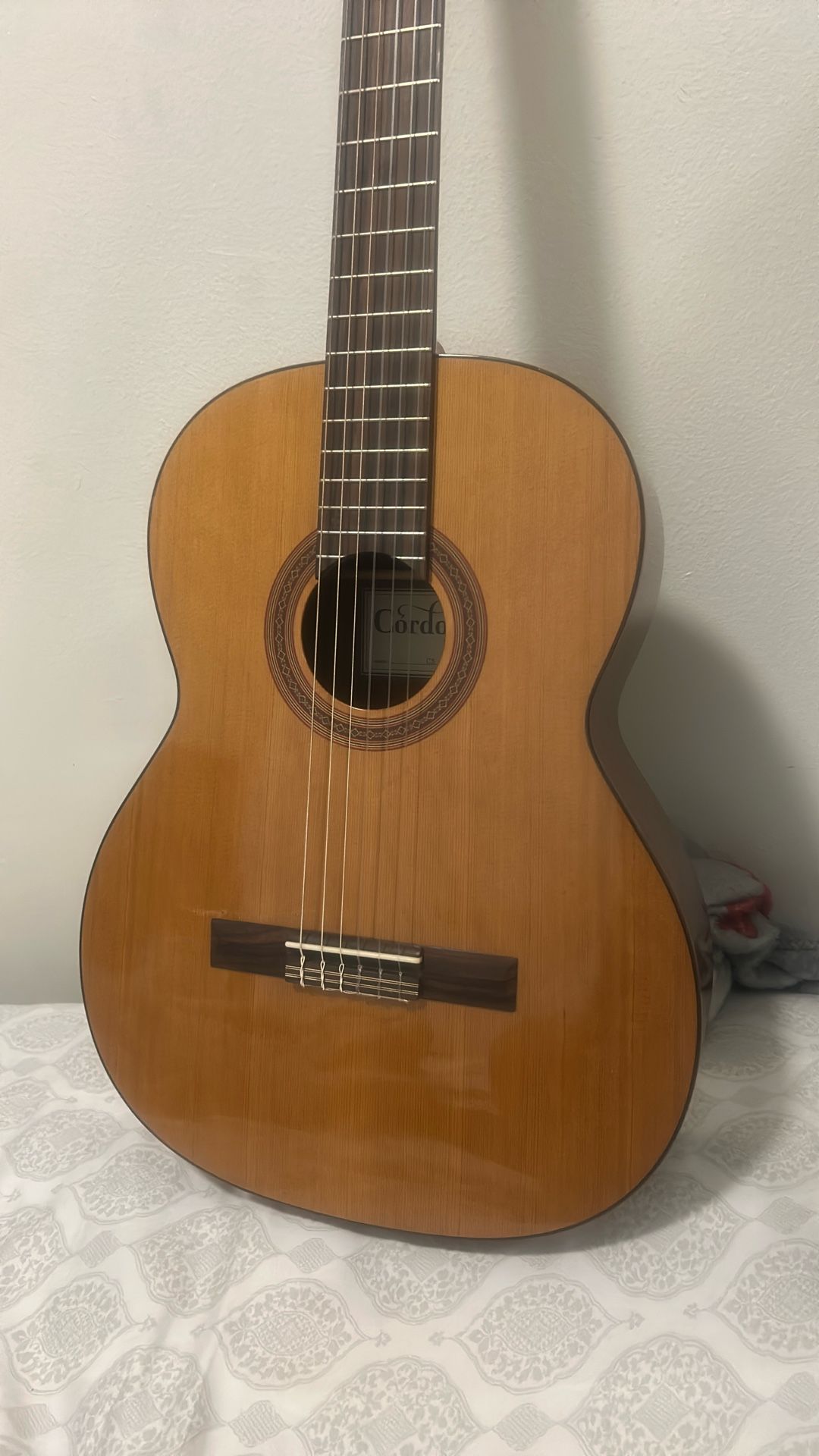 Cordoba Guitar