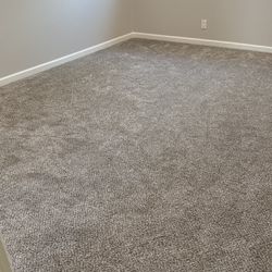Brand New Carpet 