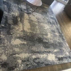 Carpet In A Very Good Condition 