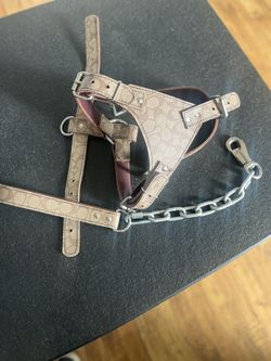 Coach Harness New