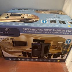 Professional Home Theater System