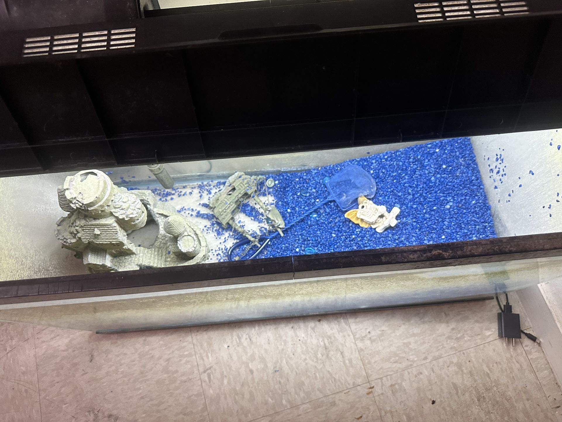 Fish Tank
