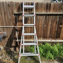 Little Giant Ladder