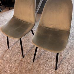 Modern Dinning chairs 