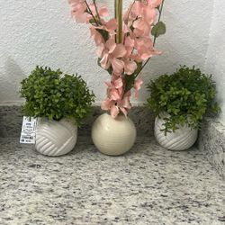 home decor plants 