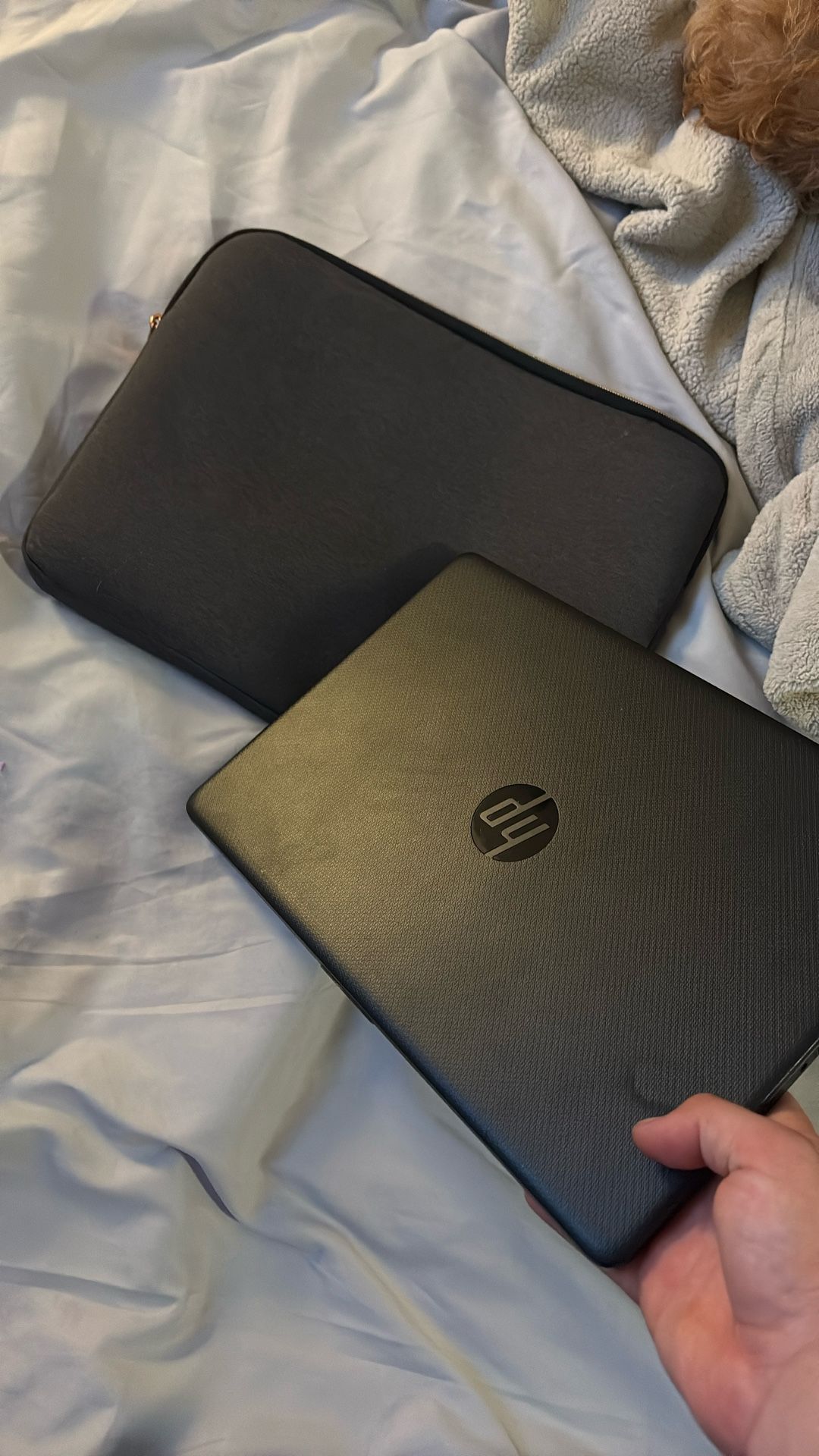Hp Laptop With Storage Bag