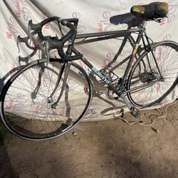 Competición Bike Benotto Campańolo