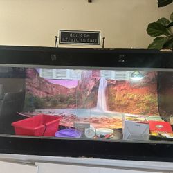 2x2x4 Reptile Enclosure W/ Items ( 120 Gallons)