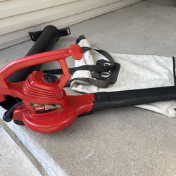 Toro Leaf Blower + Vacuum