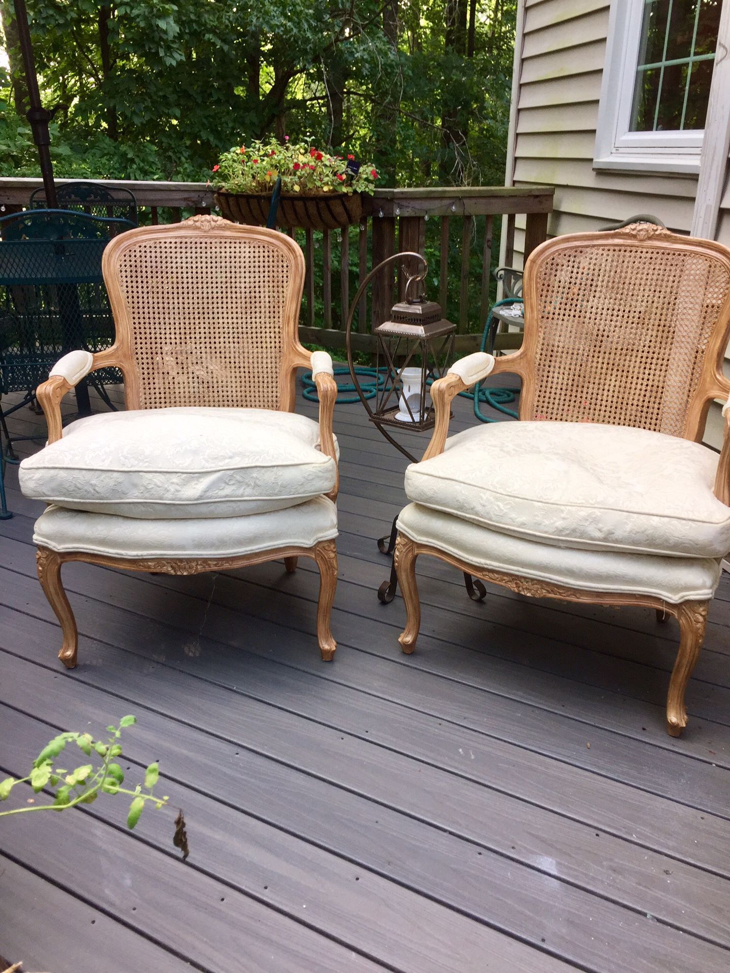 Vintage Bergere Chairs