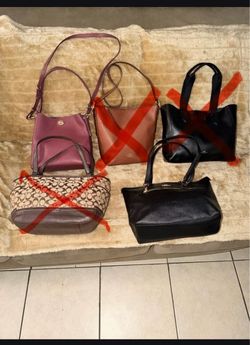 Coach Bags