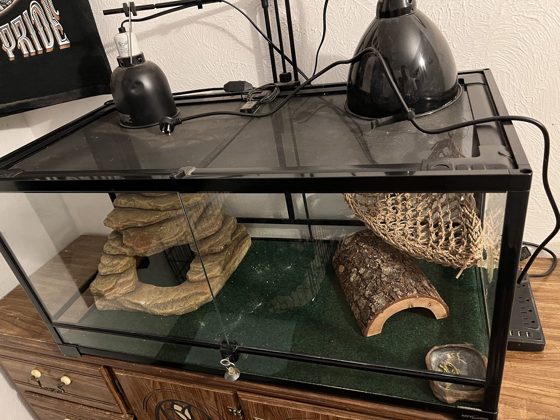 Reptile Inclosure 