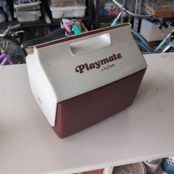 Igloo Flip Top Cooler