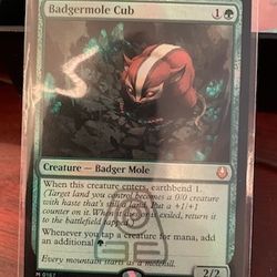 Magic-Mythical-avatar- Badgermole Cub- M0167