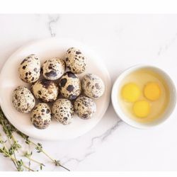 Fresh Quail eggs / Huevos De Godorniz