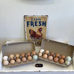 12 fresh eggs 🥚 $10 
