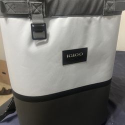 IGLOO Cooler Bag